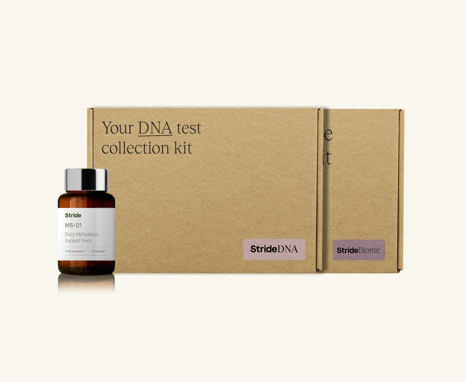 Advanced Dna + Microbiome Testing With Methylated Supplements