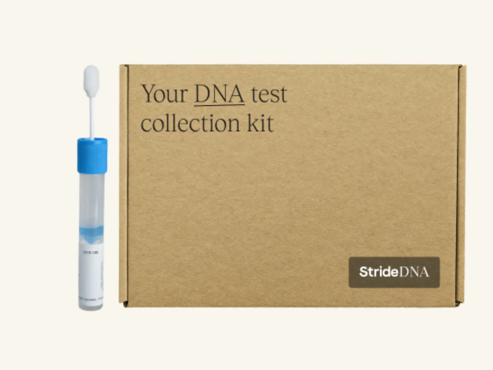 What is Methylation?